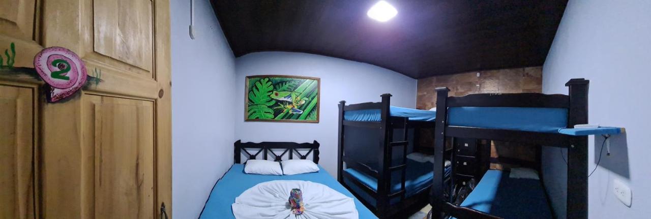Hostel Tortuguero 7Backpackers Dış mekan fotoğraf