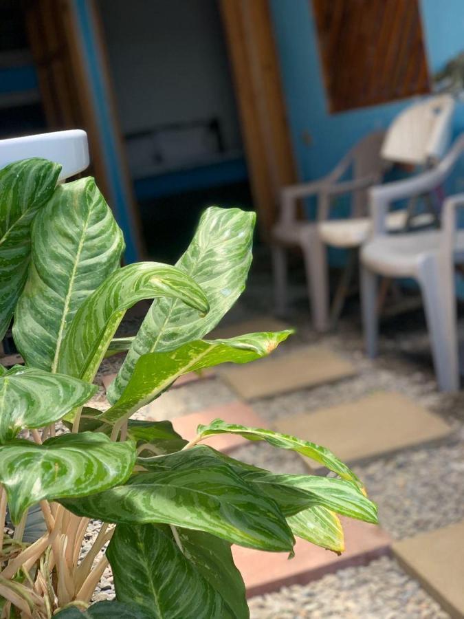 Hostel Tortuguero 7Backpackers Dış mekan fotoğraf