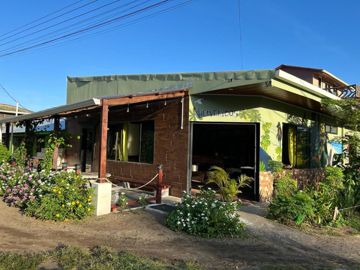 Hostel Tortuguero 7Backpackers Dış mekan fotoğraf