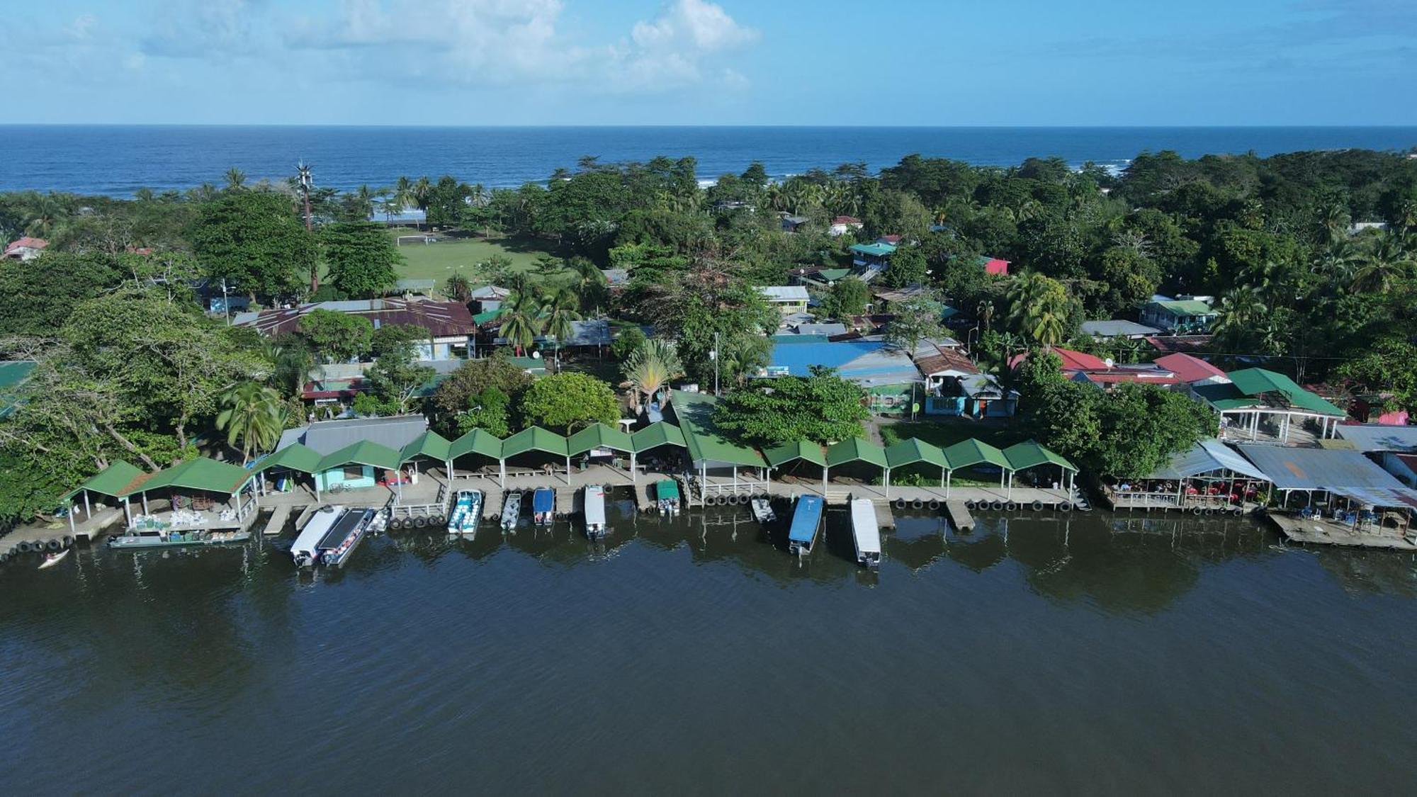 Hostel Tortuguero 7Backpackers Dış mekan fotoğraf