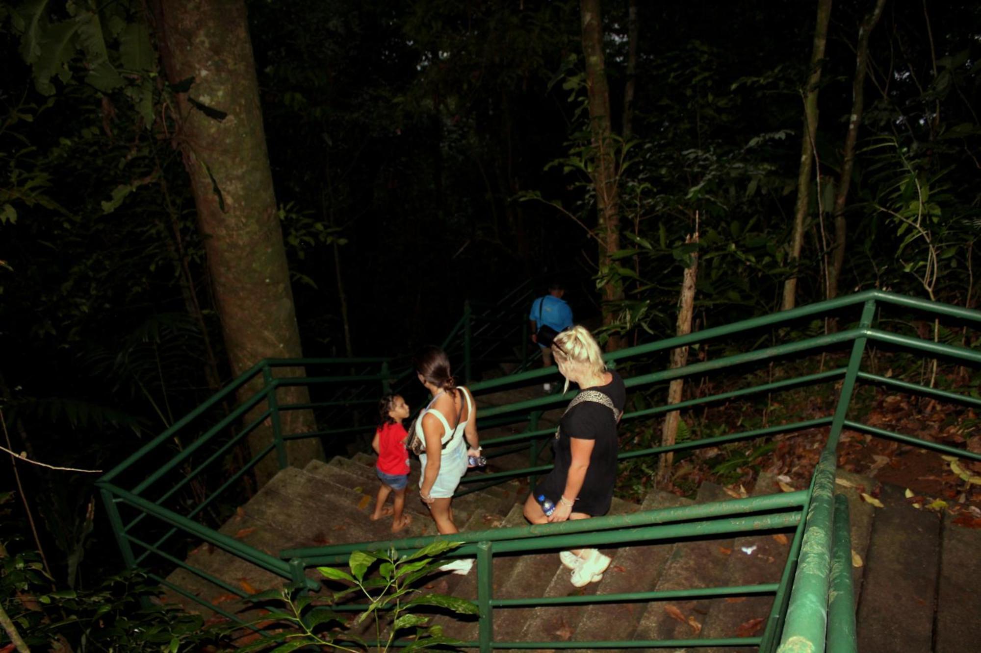 Hostel Tortuguero 7Backpackers Dış mekan fotoğraf